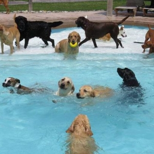 Imagem do hotel